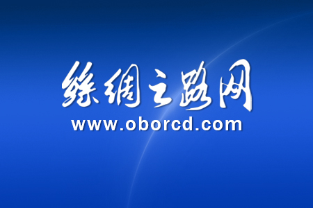 陕西首趟“西部陆海新通道+中欧班列”国际货运班列开行
