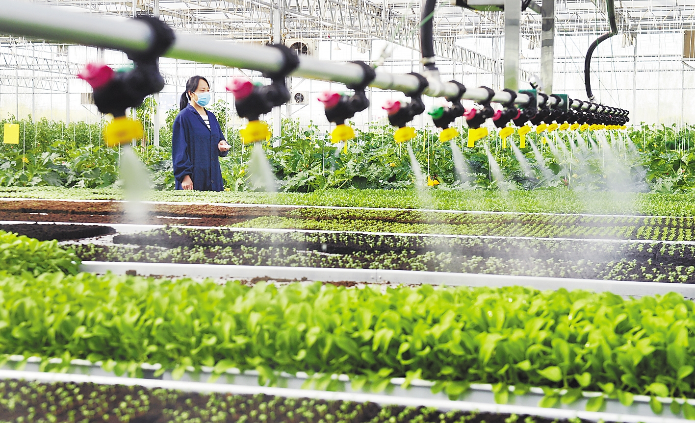 确保农业农村现代化取得决定性进展