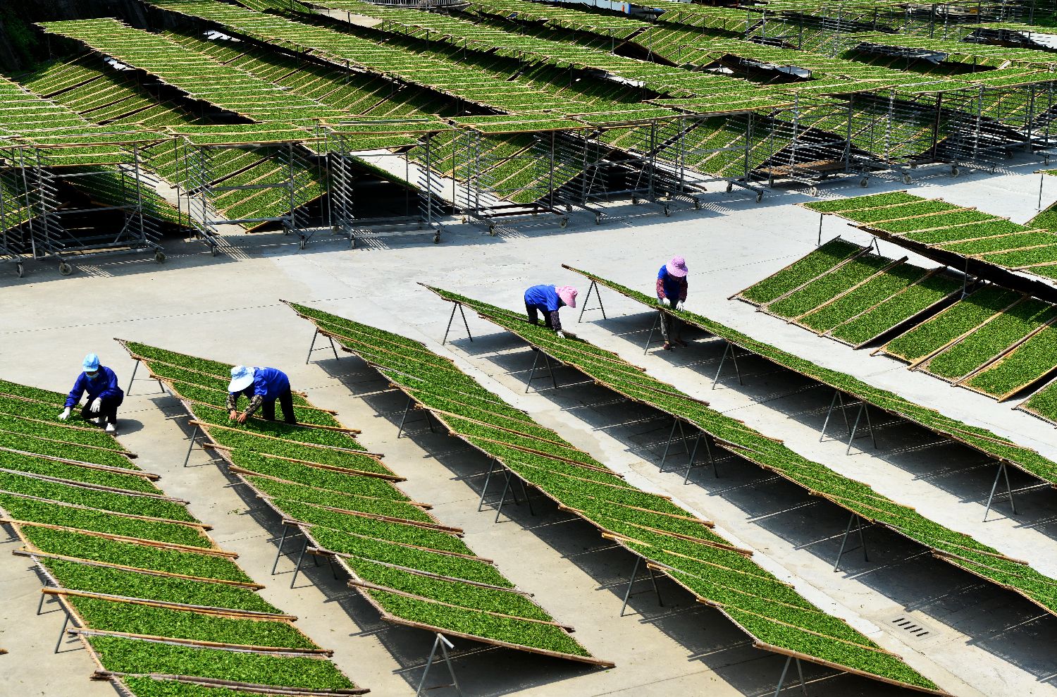 深耕山海看八闽——创新乡村振兴工作体系的“福建样本”